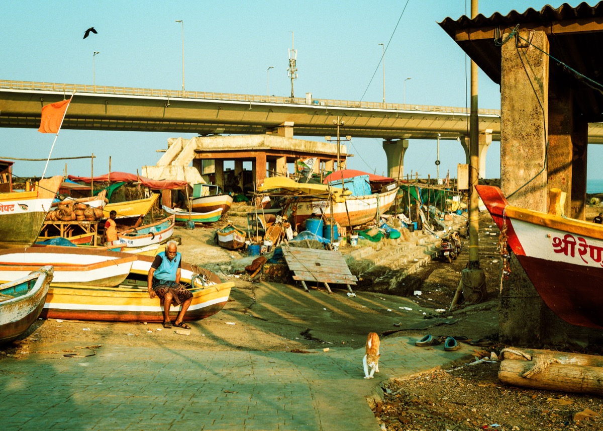 In the Shadow of Progress